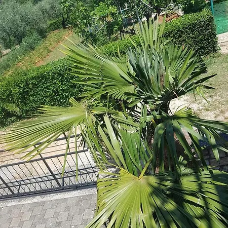 아파트 Mit Balkon