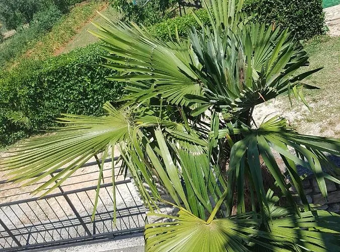 아파트 Mit Balkon